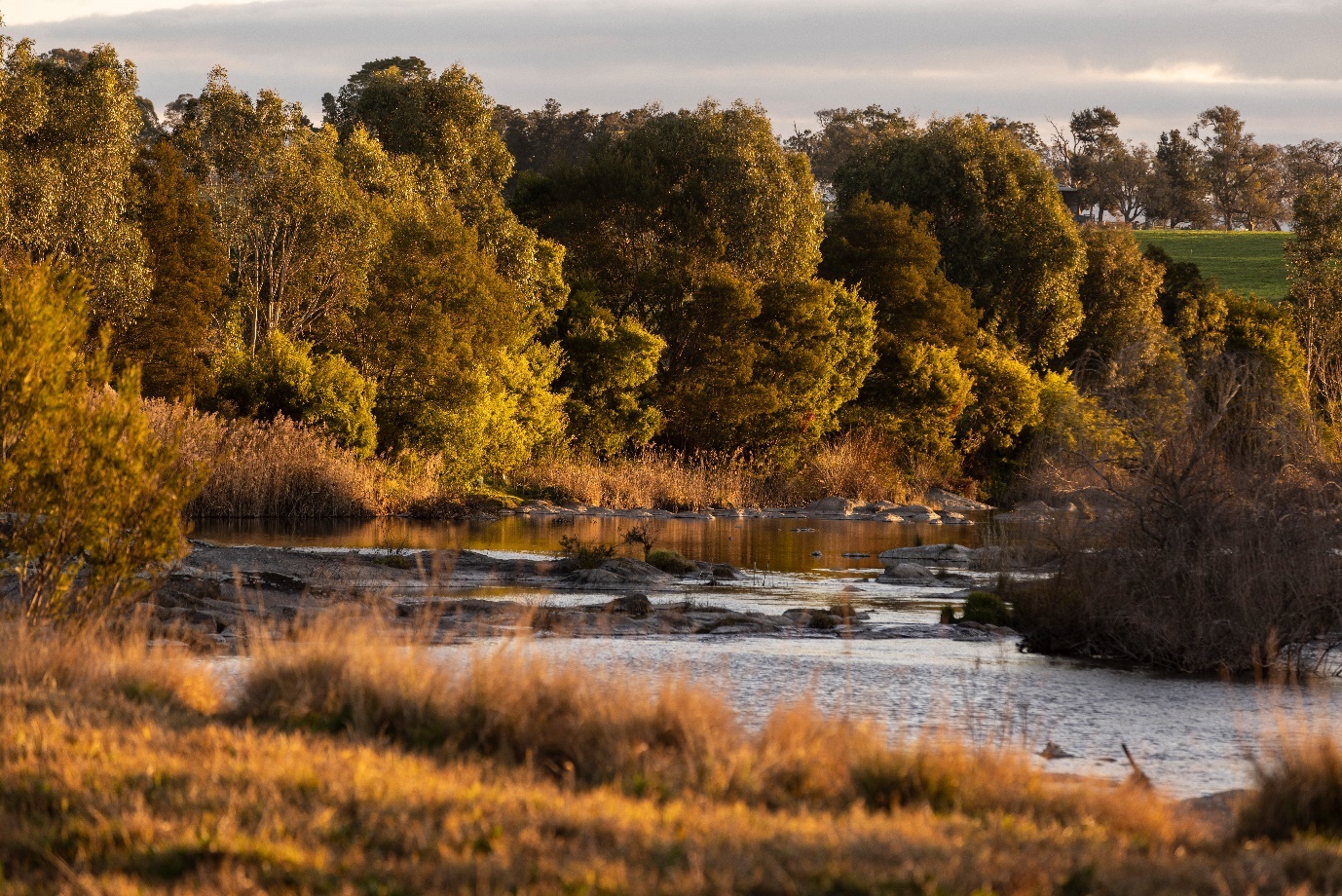 River and trees at golden hour on the Sapphire Coast